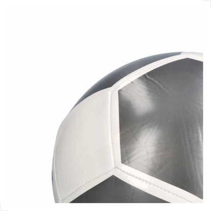 Bola Adidas Campo EPP - YouCan