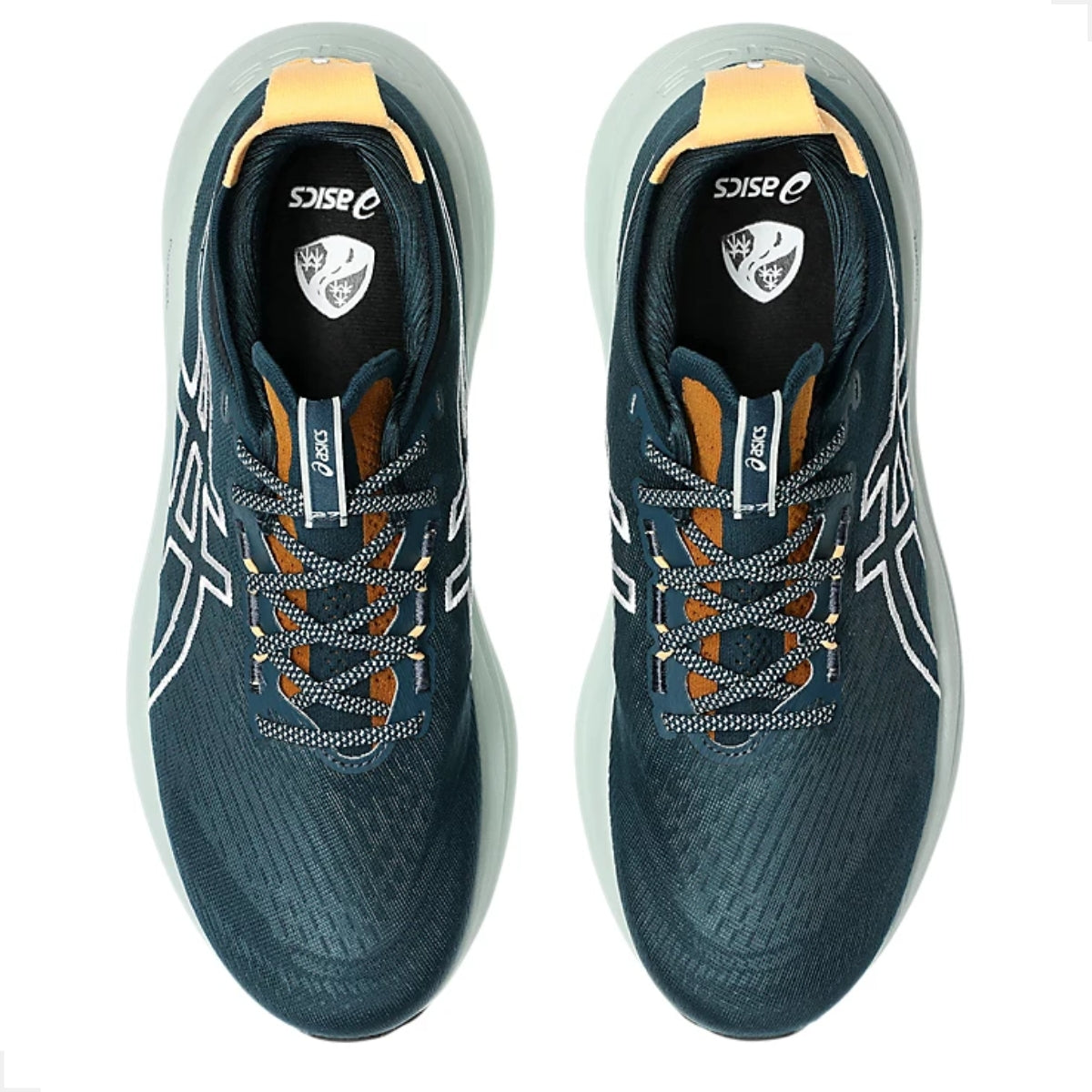 Tênis Asics Gel-Nimbus 27 TR Masculino
